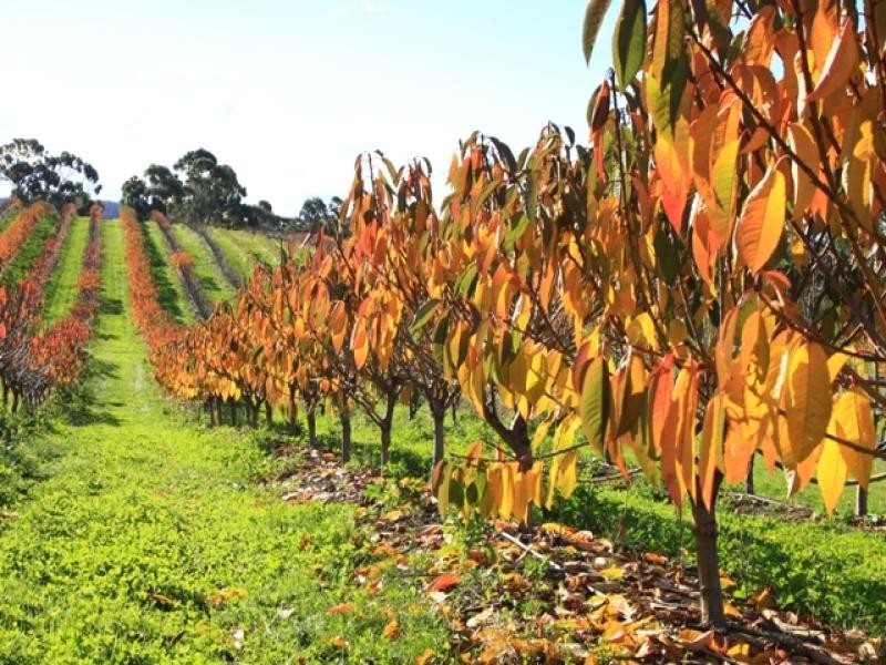 3644 Channel Highway, Birchs Bay TAS 7162