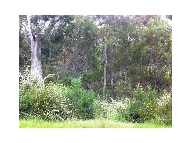 106 Summerleas Road, Fern Tree TAS 7054