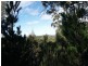 106 Summerleas Road, Fern Tree TAS 7054