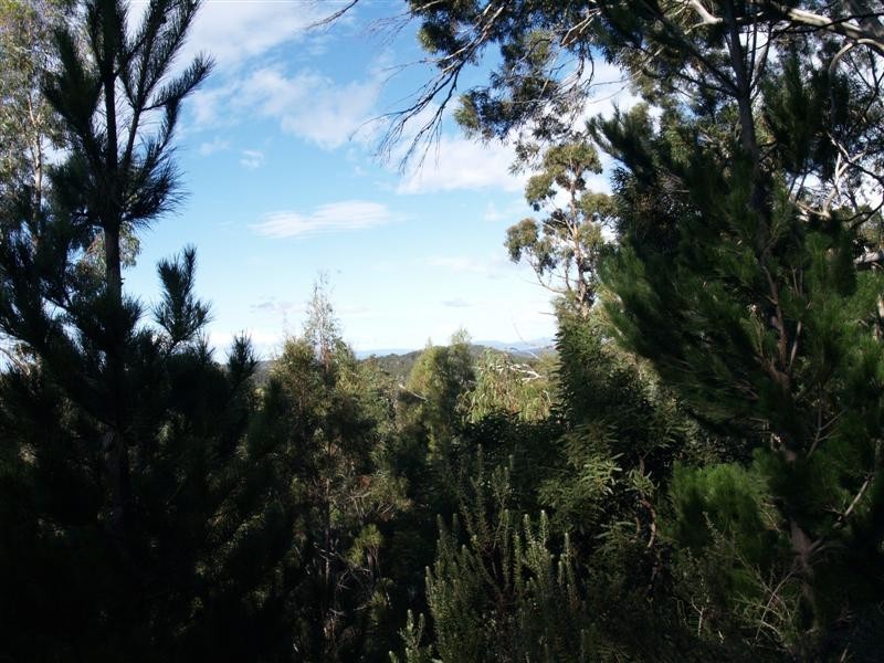 106 Summerleas Road, Fern Tree TAS 7054