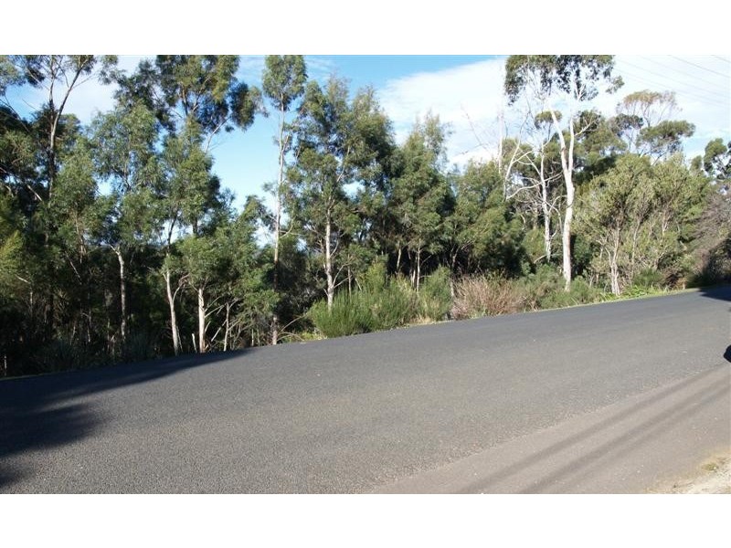 106 Summerleas Road, Fern Tree TAS 7054