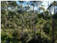 106 Summerleas Road, Fern Tree TAS 7054