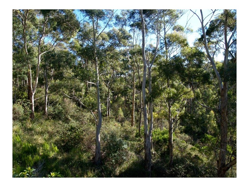 106 Summerleas Road, Fern Tree TAS 7054