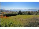 445 Churchill Avenue, Sandy Bay TAS 7005