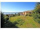 445 Churchill Avenue, Sandy Bay TAS 7005