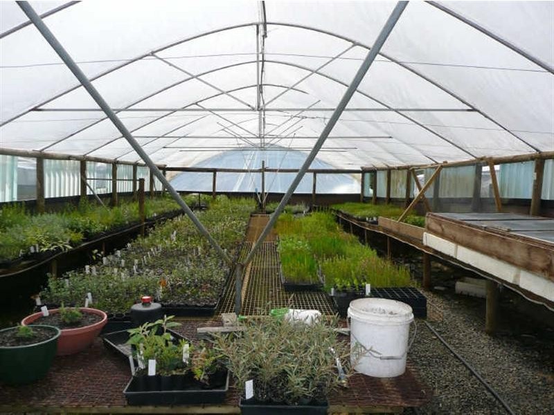 5598 Tasman Highway, Buckland TAS 7190