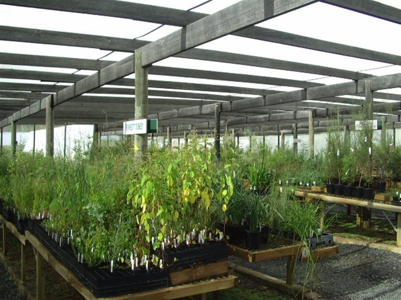 5598 Tasman Highway, Buckland TAS 7190