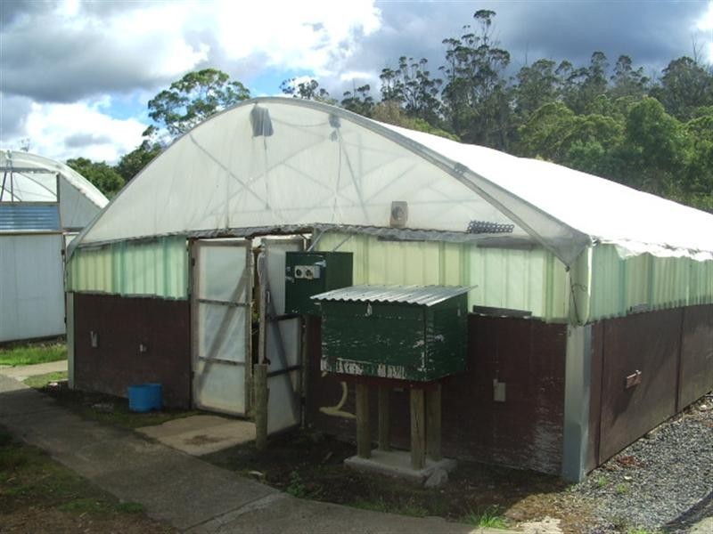 5598 Tasman Highway, Buckland TAS 7190