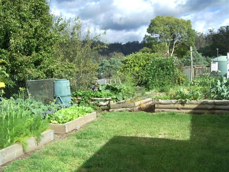 5598 Tasman Highway, Buckland TAS 7190