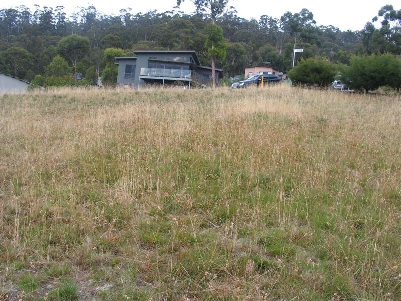 22 Pulchella Drive, Tolmans Hill TAS 7007