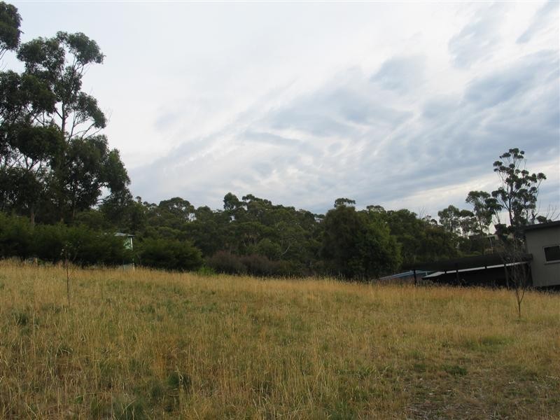 22 Pulchella Drive, Tolmans Hill TAS 7007