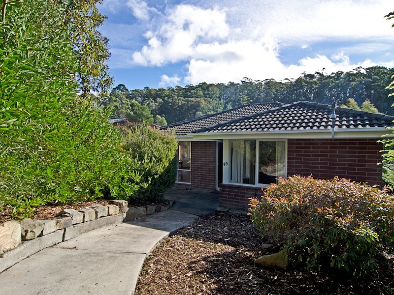 45 Strickland Avenue, South Hobart TAS 7004