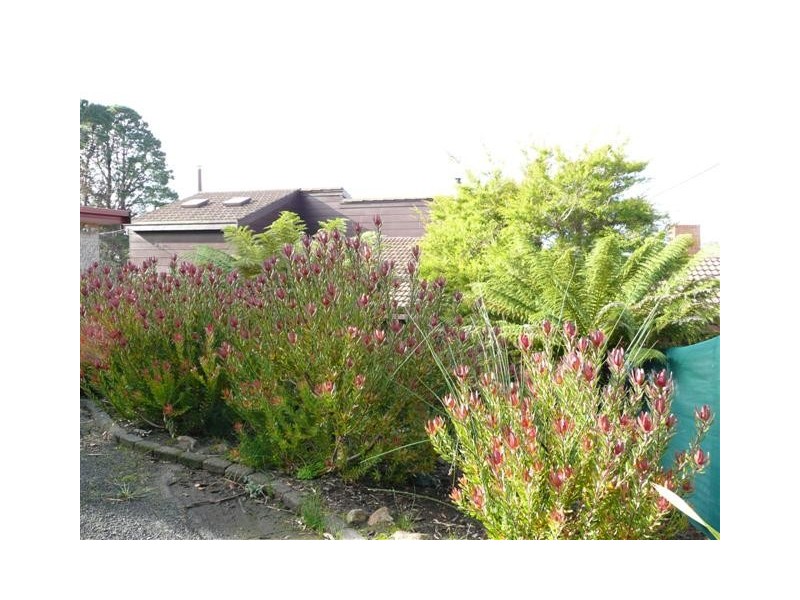 423 Nelson Road, Mount Nelson TAS 7007