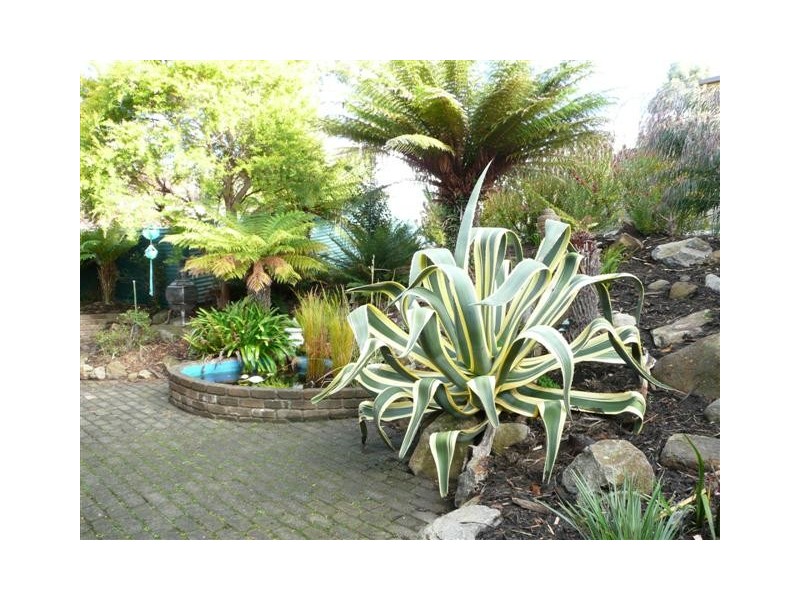 423 Nelson Road, Mount Nelson TAS 7007