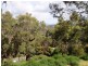 184 Pottery Road, Lenah Valley TAS 7008