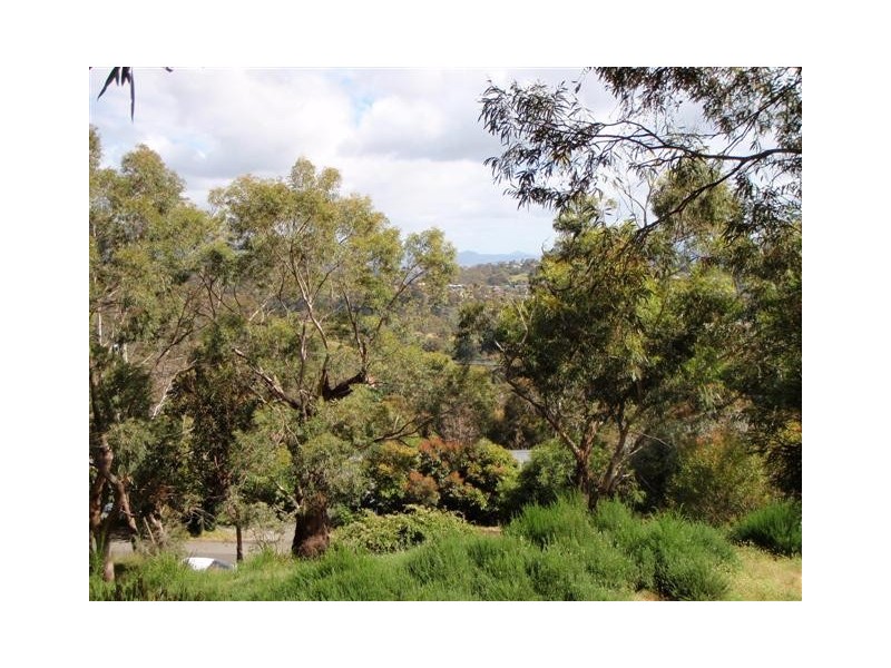 184 Pottery Road, Lenah Valley TAS 7008