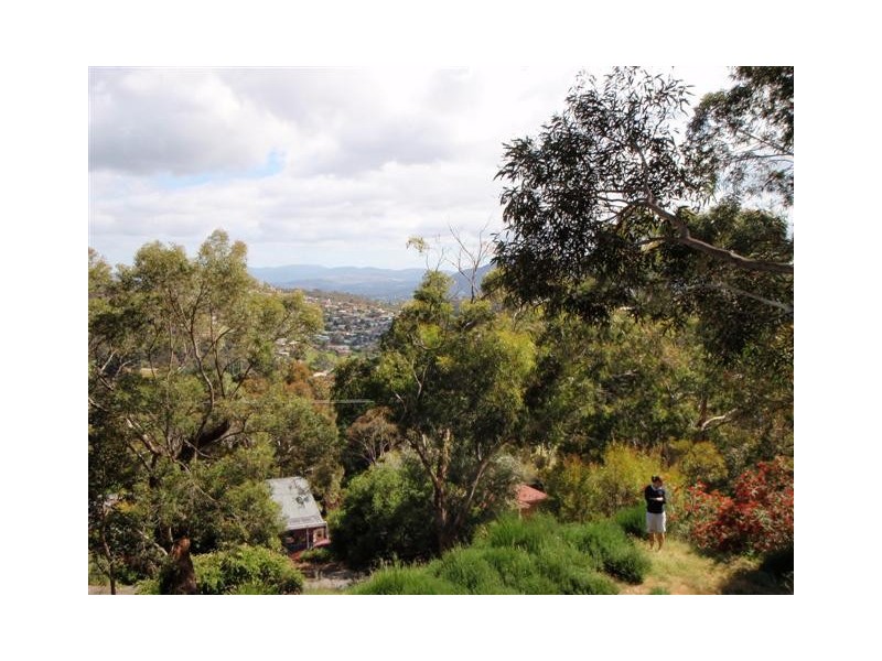 184 Pottery Road, Lenah Valley TAS 7008