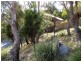 184 Pottery Road, Lenah Valley TAS 7008