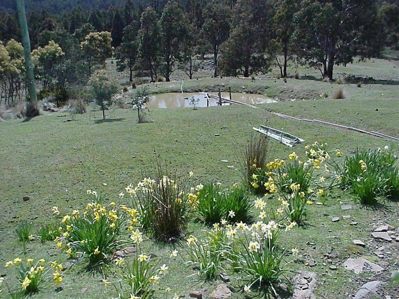 770 Quoin Road, Colebrook TAS 7027