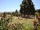 33 Hall Lane, Bagdad TAS 7030