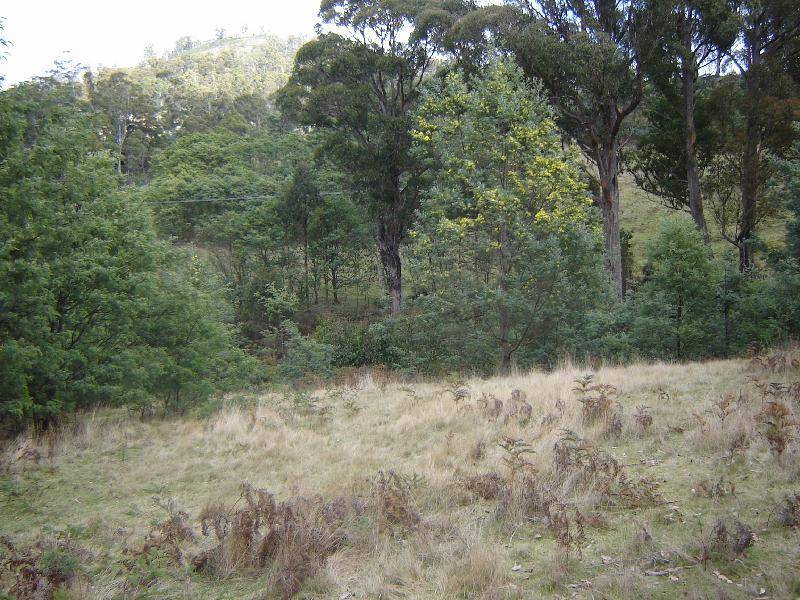 Lot 1 Pelham Road, Pelham TAS 7030