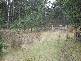 Lot 1 Pelham Road, Pelham TAS 7030