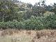 Lot 1 Pelham Road, Pelham TAS 7030