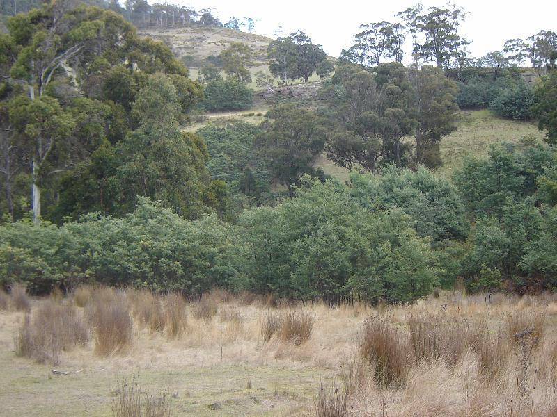 Lot 1 Pelham Road, Pelham TAS 7030
