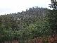 Lot 1 Pelham Road, Pelham TAS 7030