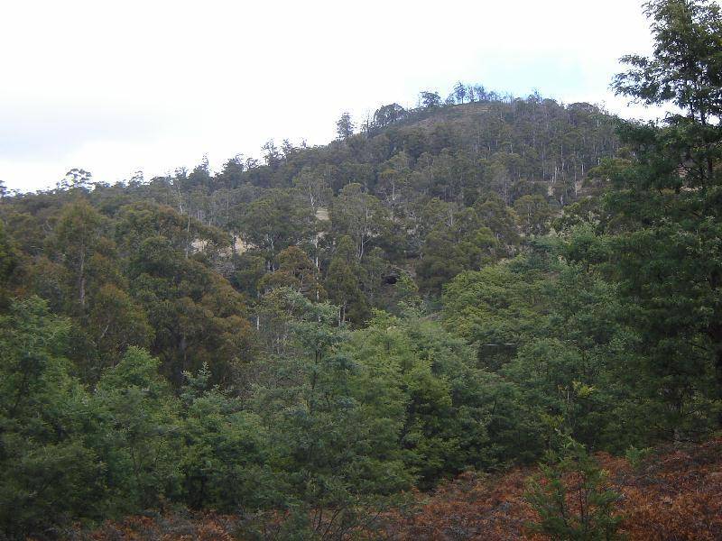Lot 1 Pelham Road, Pelham TAS 7030