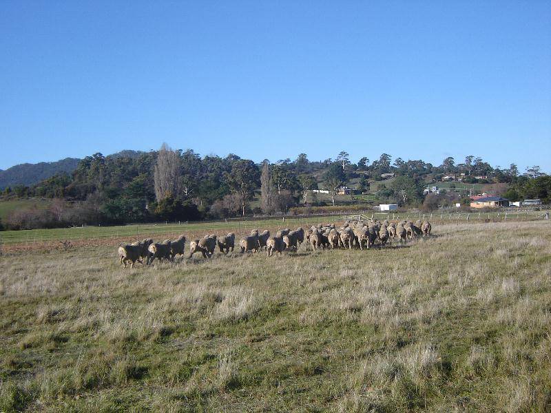 . Midland Highway, Bagdad TAS 7030