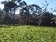 . Midland Highway, Bagdad TAS 7030