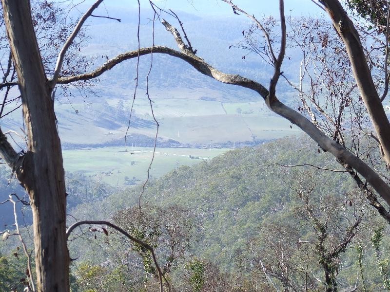 Elderslie TAS 7030