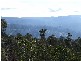 Elderslie TAS 7030