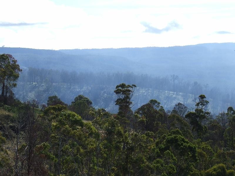 Elderslie TAS 7030