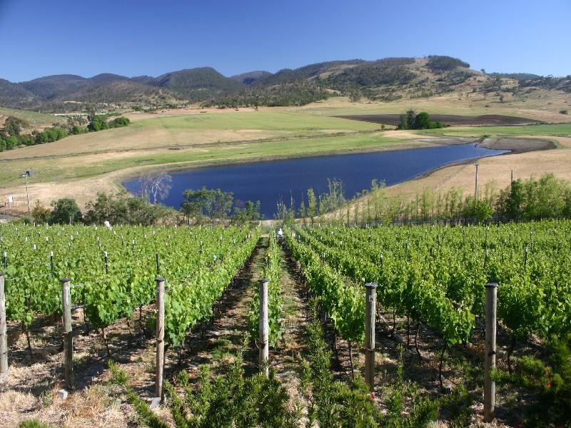 10  Vineyard Drive, Tea Tree TAS 7017