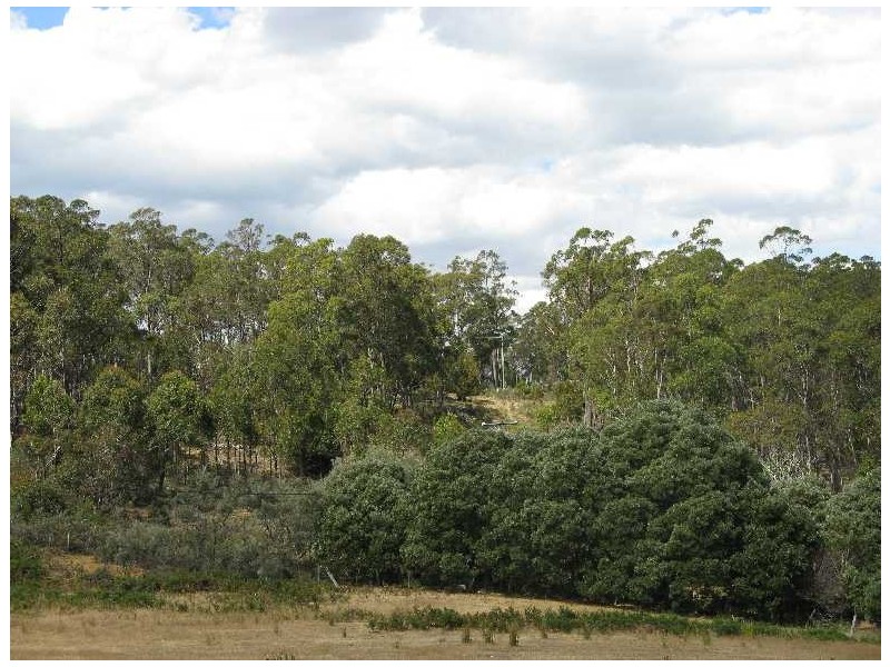 . McKays Road, Dysart TAS 7030