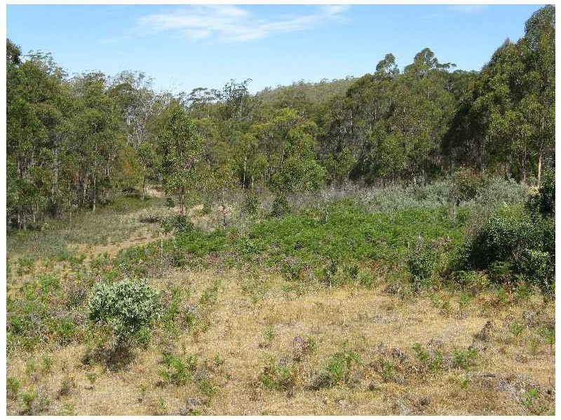 . McKays Road, Dysart TAS 7030