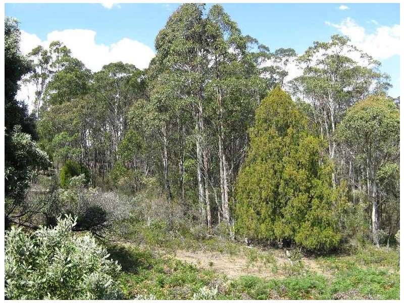 . McKays Road, Dysart TAS 7030