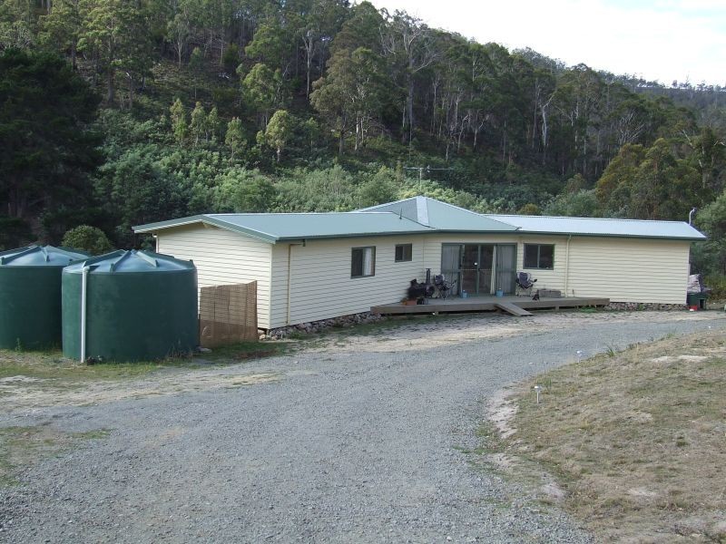 Campania TAS 7026