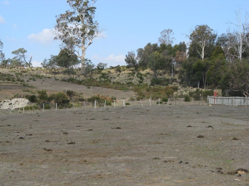 22 Hilda Street, Parattah TAS 7120