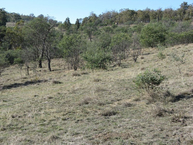 Lot 1 Link Road, Colebrook TAS 7027