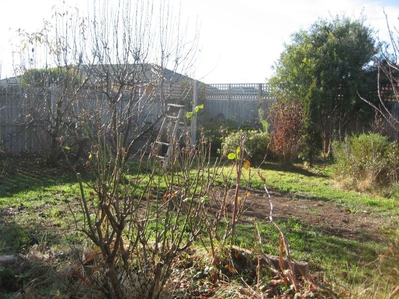 Brighton TAS 7030