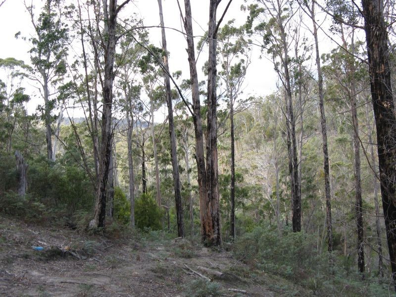 . Thallans Road, Colebrook TAS 7027