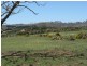 Lot 4 Louisa Street, Oatlands TAS 7120