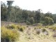 Colebrook TAS 7027