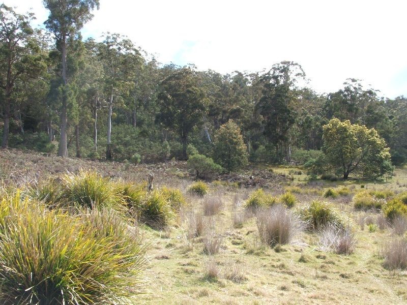 Colebrook TAS 7027