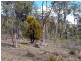 Colebrook TAS 7027
