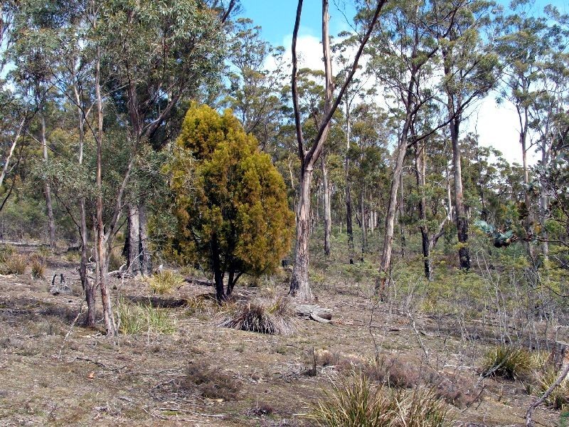 Colebrook TAS 7027
