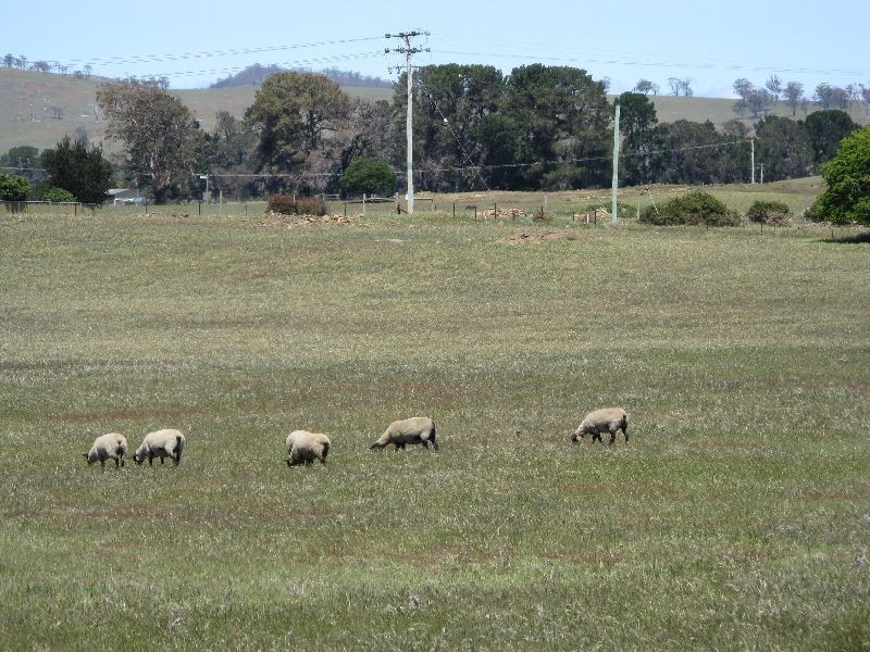 Oatlands TAS 7120